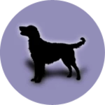 Logo of Dog Breeds android Application 