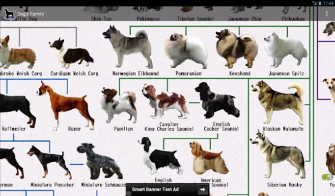 Dog Breeds android App screenshot 0