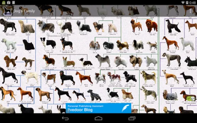 Dog Breeds android App screenshot 1