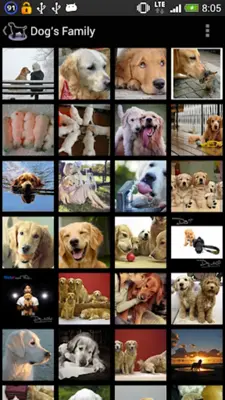 Dog Breeds android App screenshot 3