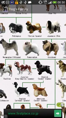 Dog Breeds android App screenshot 5